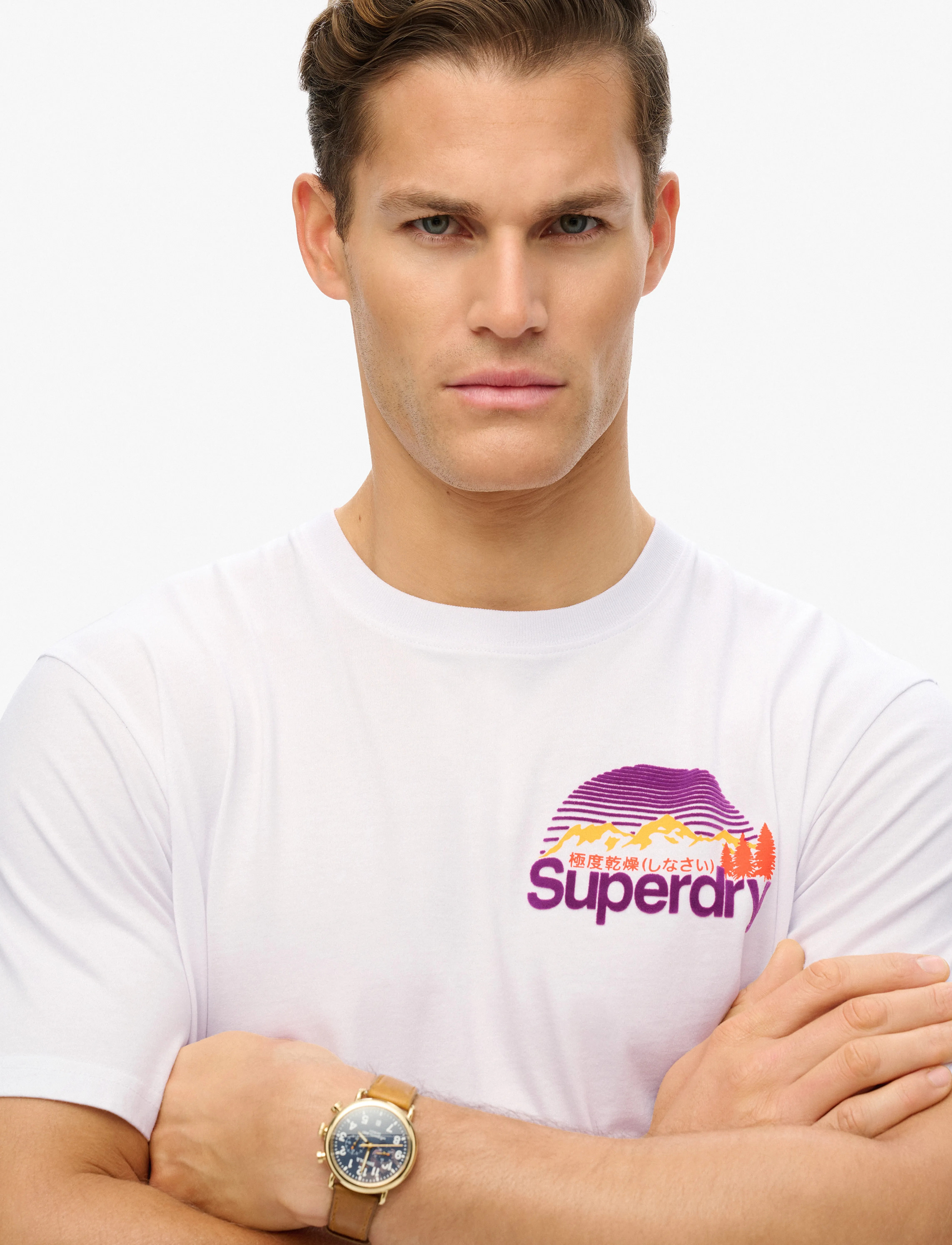 Superdry - CL GREAT OUTDOORS CHEST TEE - marškinėliai trumpomis rankovėmis - optic - 4