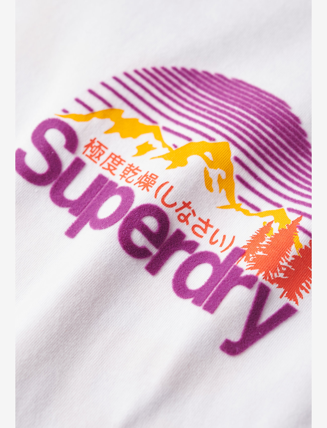 Superdry - CL GREAT OUTDOORS CHEST TEE - kortärmade t-shirts - optic - 2