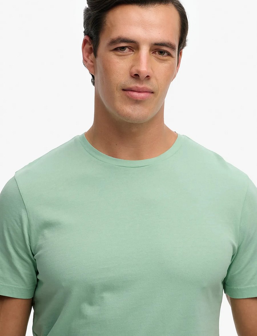 Superdry - CLASSIC ESSENTIAL TEE - short-sleeved t-shirts - deep lichen - 2