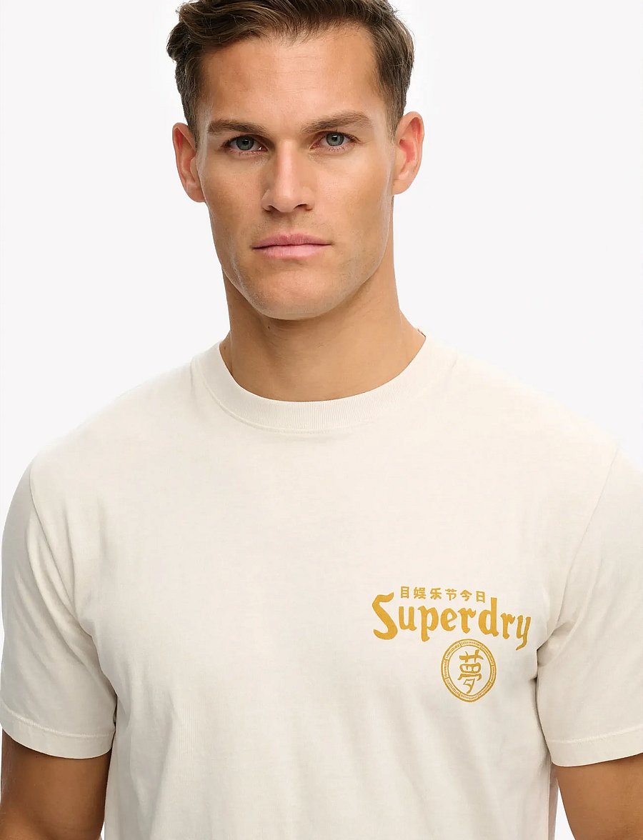 Superdry - TOKYO NARRATIVE LOOSE TEE - short-sleeved t-shirts - rainy day grey - 3