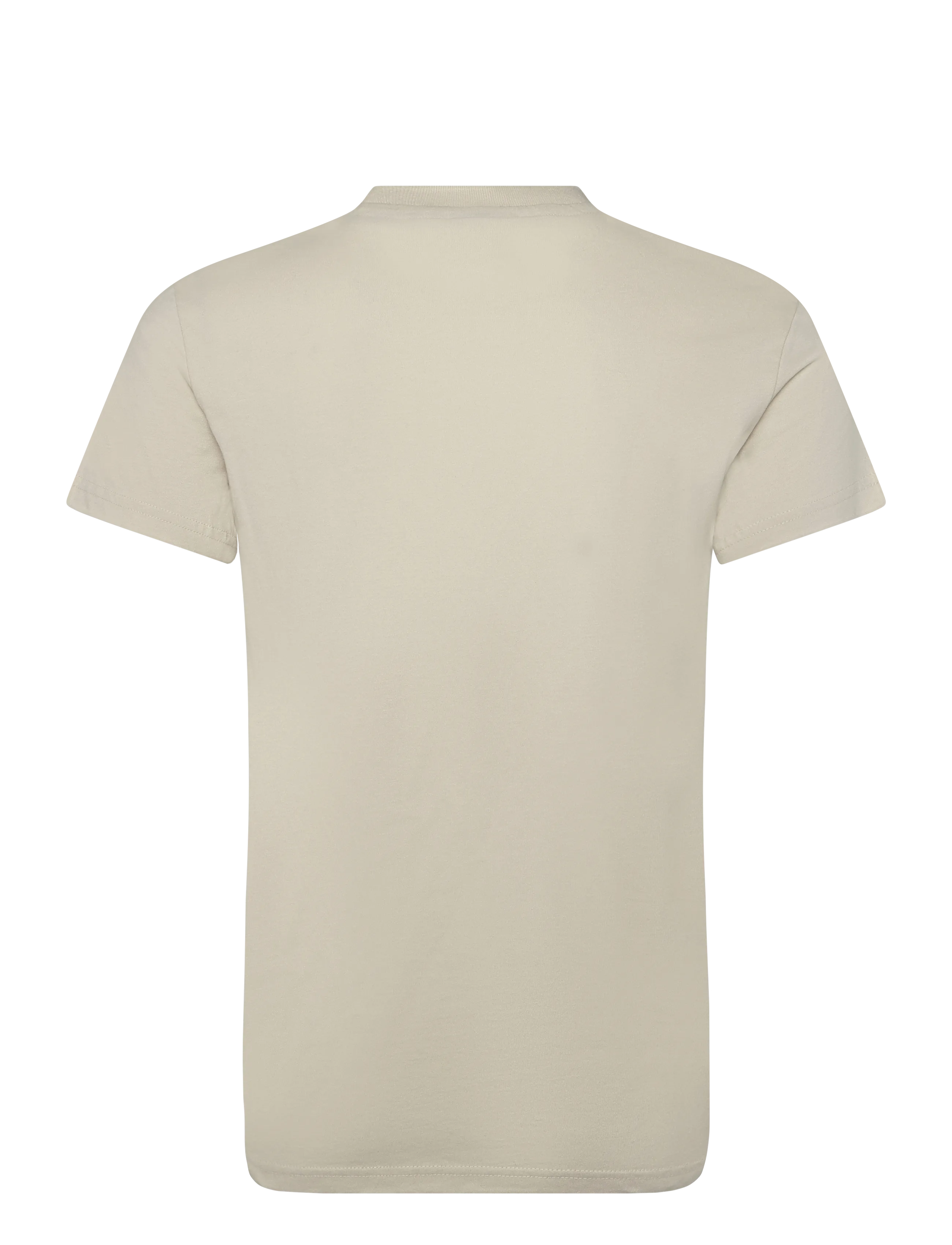 Superdry - ESSENTIAL STACKED LOGO EMB TEE - kurzärmelige t-shirts - birch/neon pink - 2