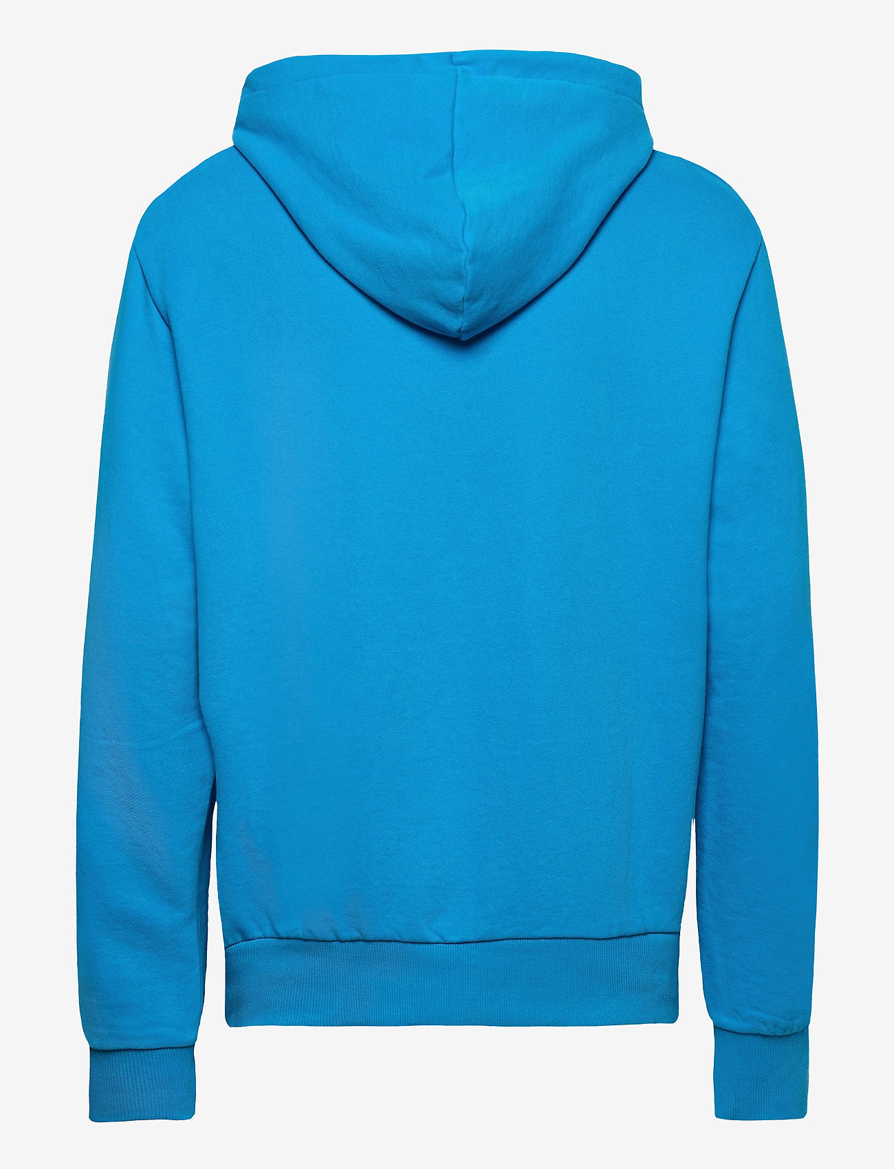 Superdry - SCRIPT CLASSIC HOOD UB - electric blue - 1