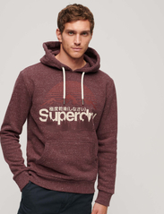 Superdry - CL GREAT OUTDOORS GRAPHIC HOOD - hoodies - burgundy heather - 1
