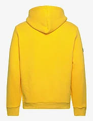 Superdry - ATHL SCRIPT EMB GRAPHIC HOOD - hoodies - desert ochre yellow - 1