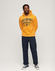 Superdry - ATHL SCRIPT EMB GRAPHIC HOOD - hoodies - desert ochre yellow - 6