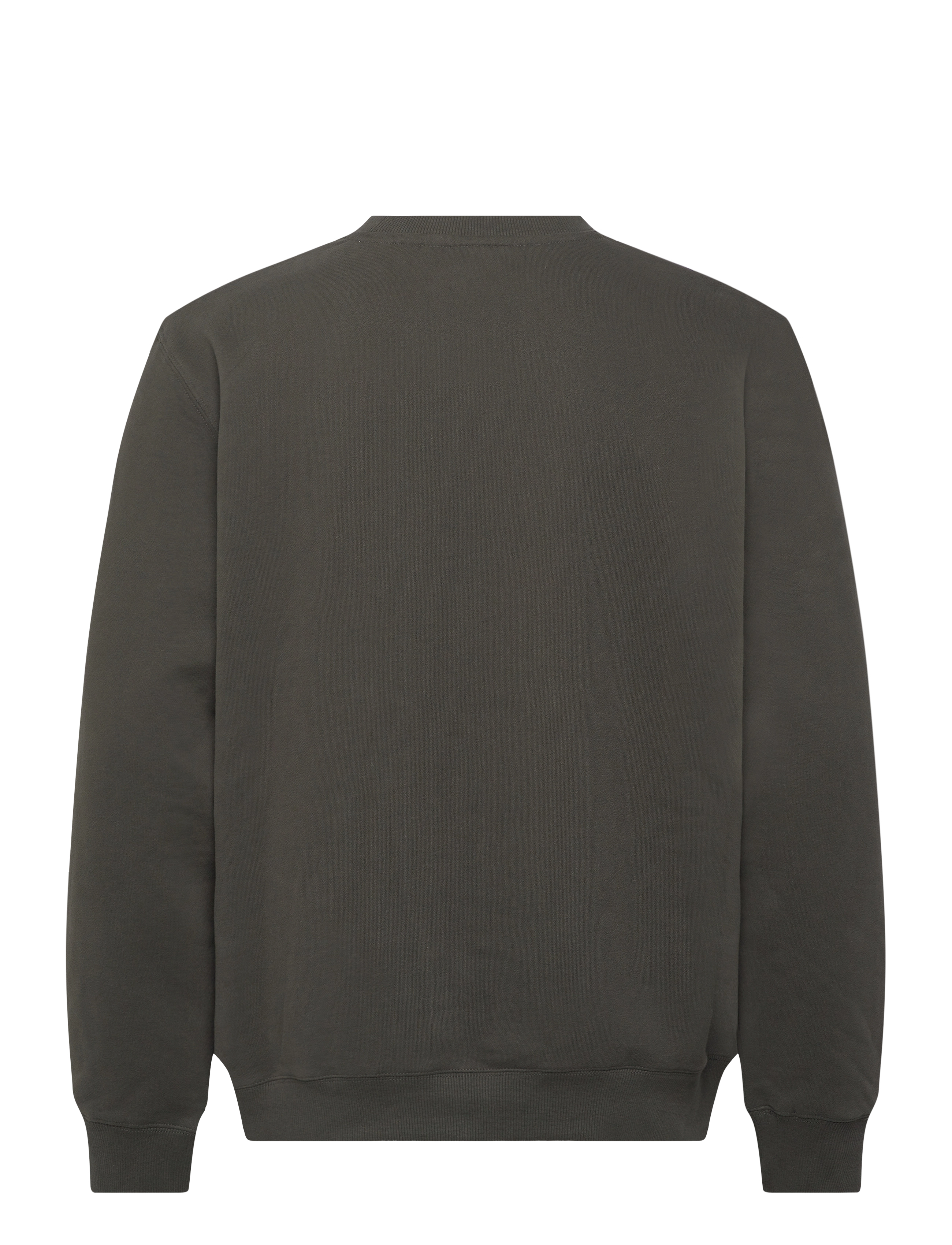 Superdry - ESSENTIAL LOGO CREW SWEATSHIRT - truien en hoodies - dark grey green - 2