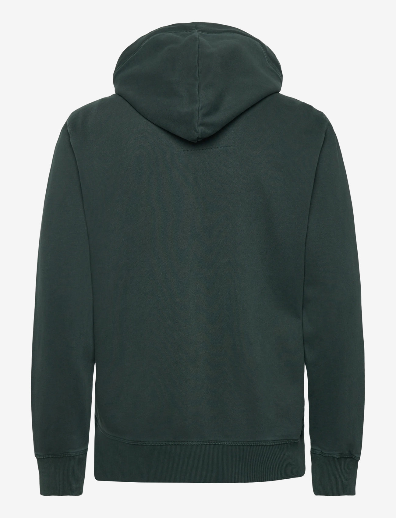 Superdry - ESSENTIAL LOGO WASHED ZIPHOOD - hoodies - forest green - 2
