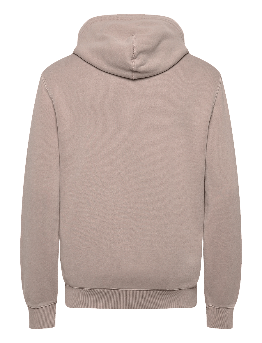 Superdry - MICRO LOGO HOOD - kapuutsiga dressipluusid - deep beige - 2