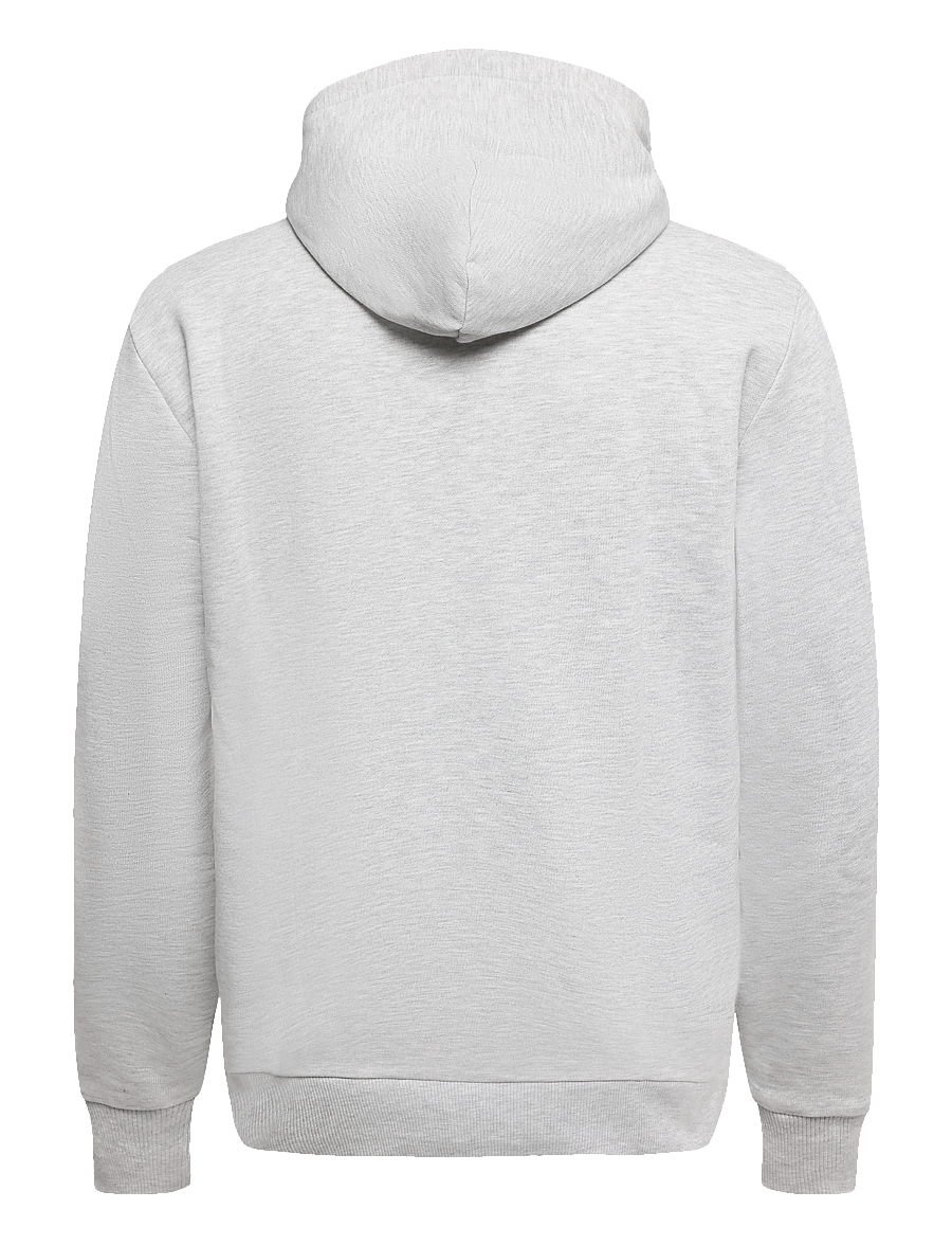 Superdry - ATHLETIC ESS HOODIE - kapuzenpullover - cadet grey marl - 2