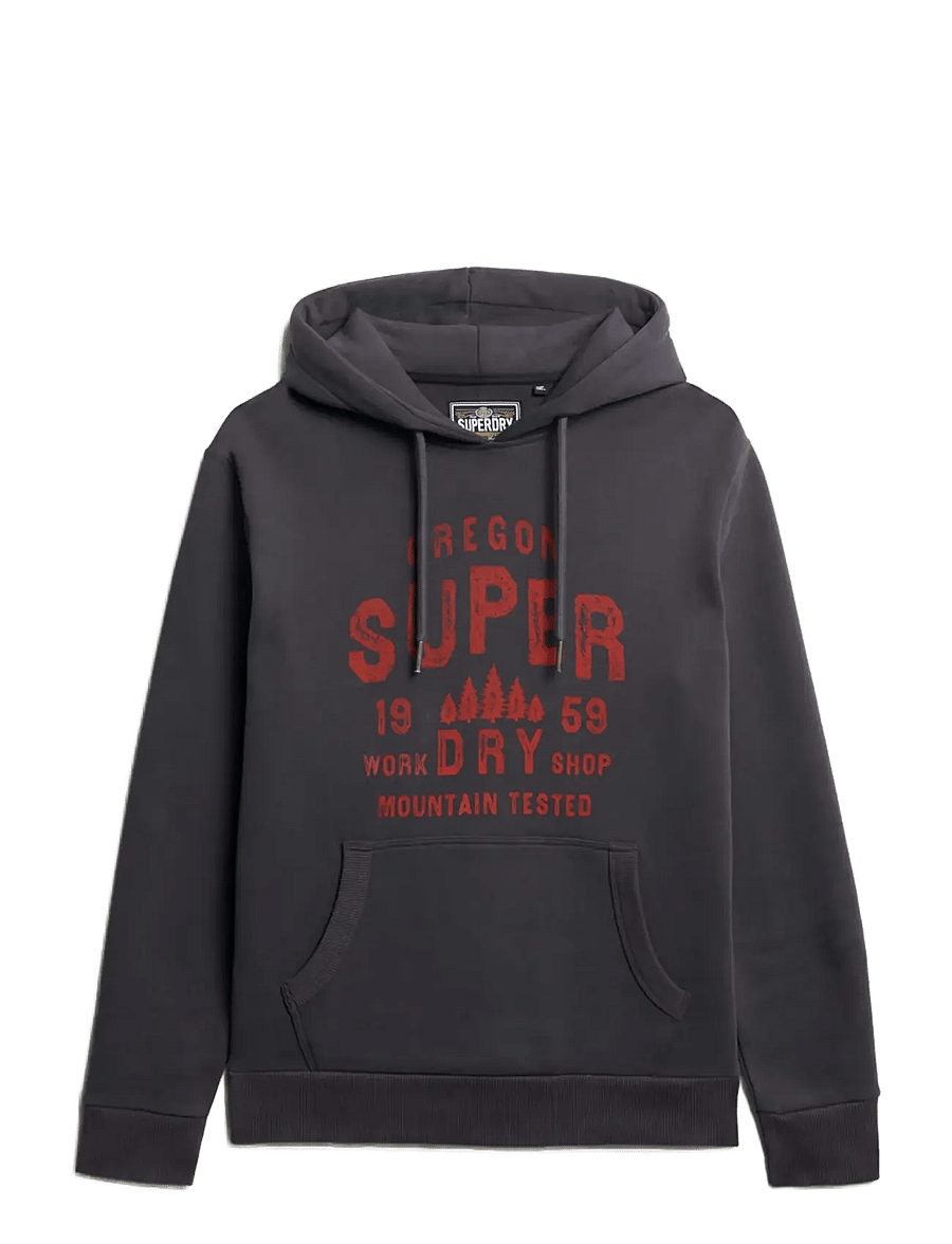 Superdry - WORK SHOP HOOD - hoodies - dark charcoal - 1