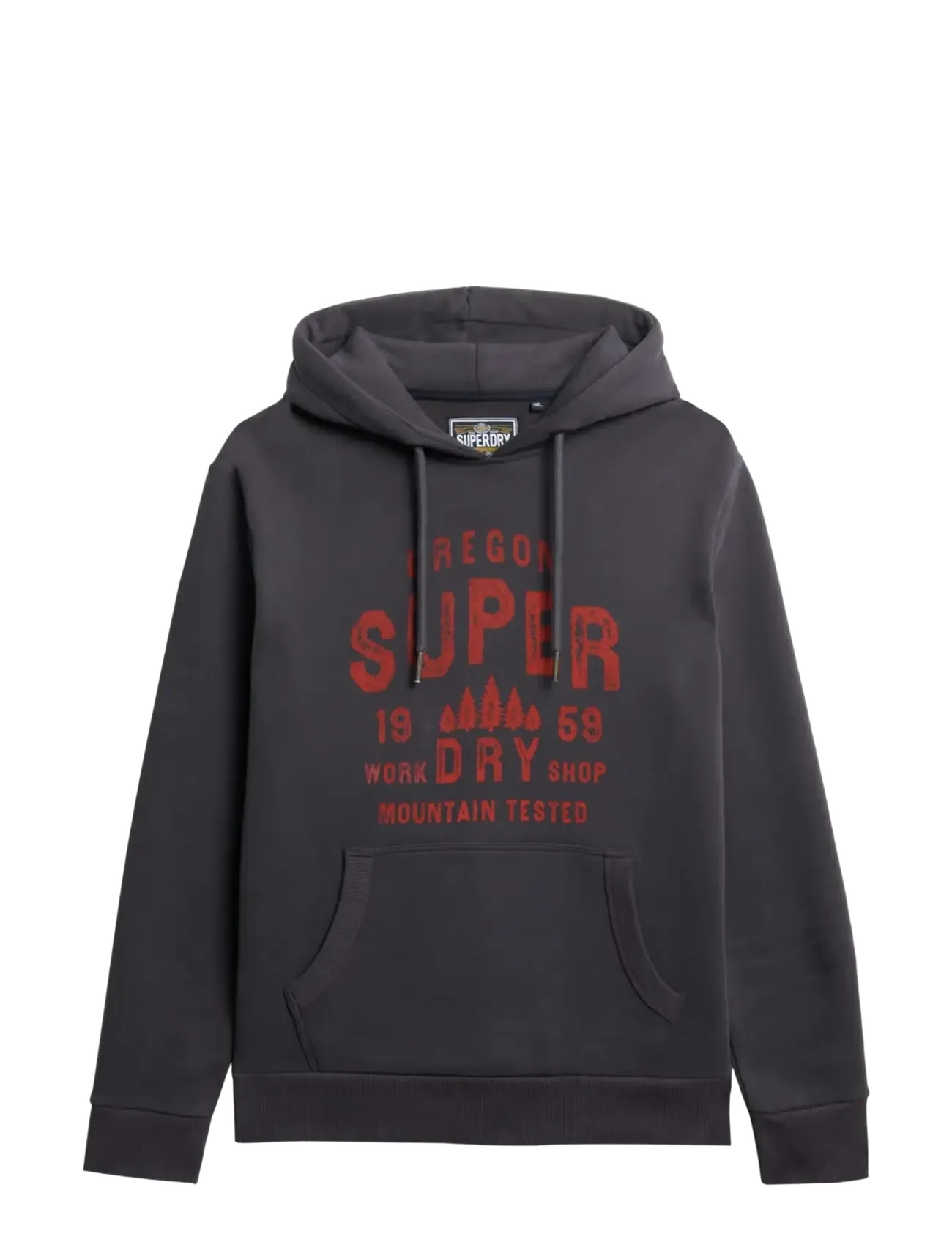 Superdry - WORK SHOP HOOD - hoodies - dark charcoal - 2