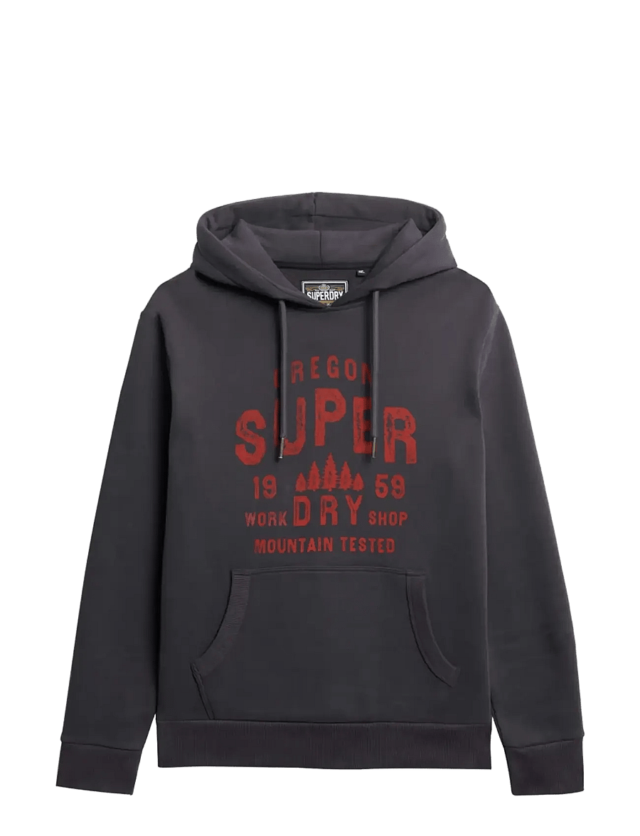 Superdry - WORK SHOP HOOD - hoodies - dark charcoal - 2