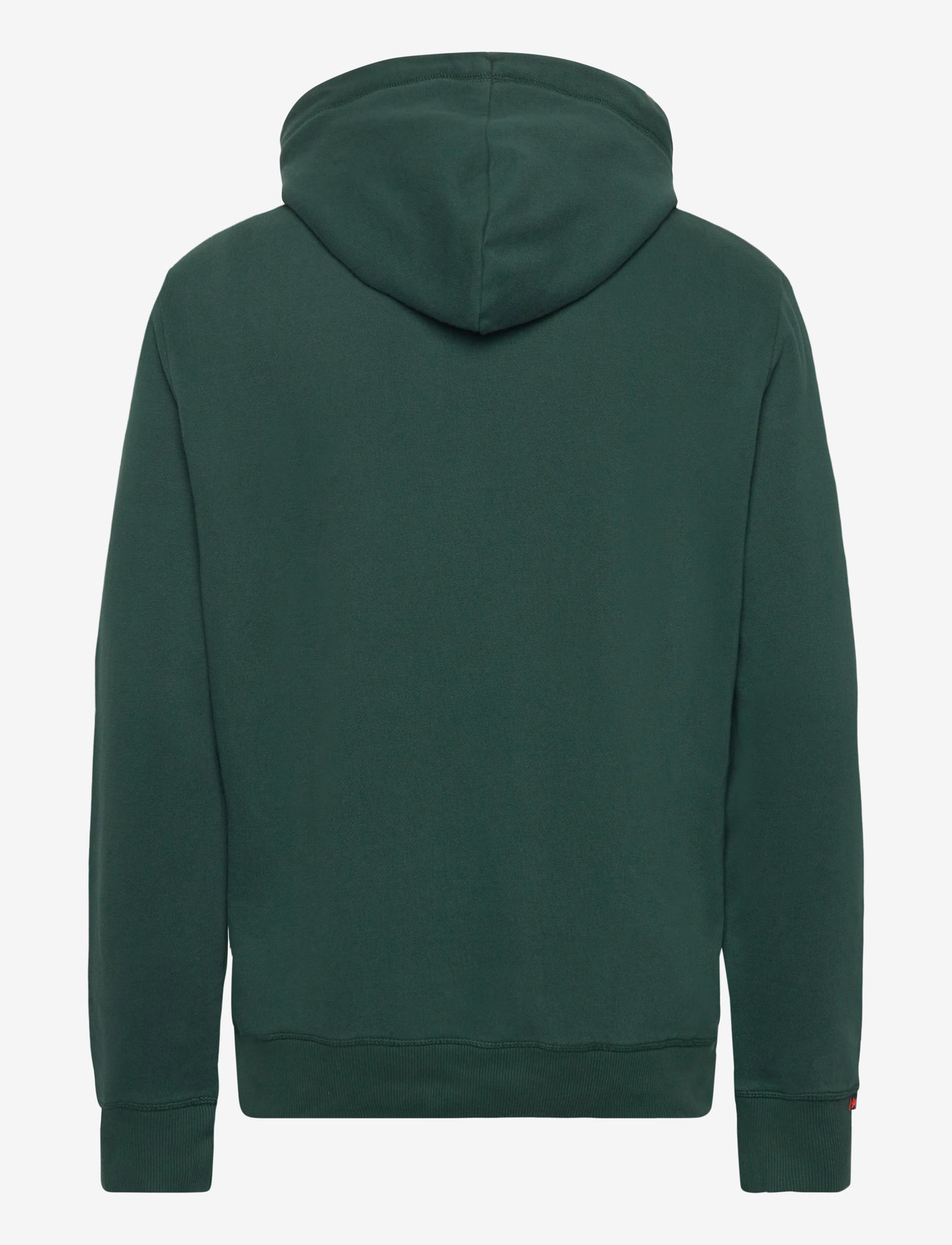 Superdry - VL DUO CLASSIC HOOD - enamel green - 2