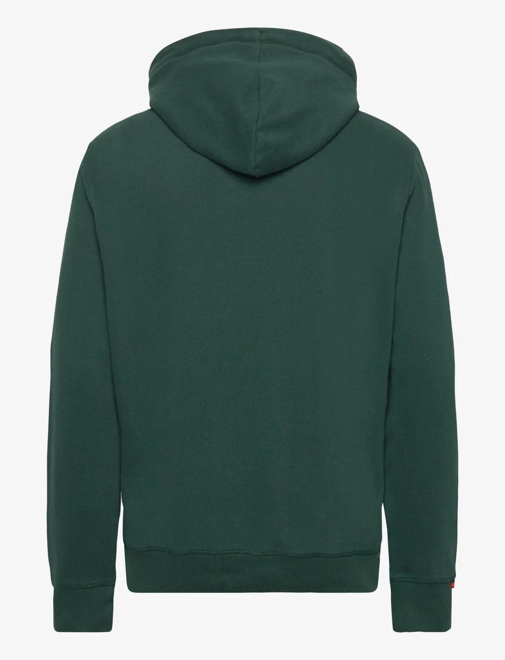Superdry - VL DUO CLASSIC HOOD - kapuzenpullover - enamel green - 2