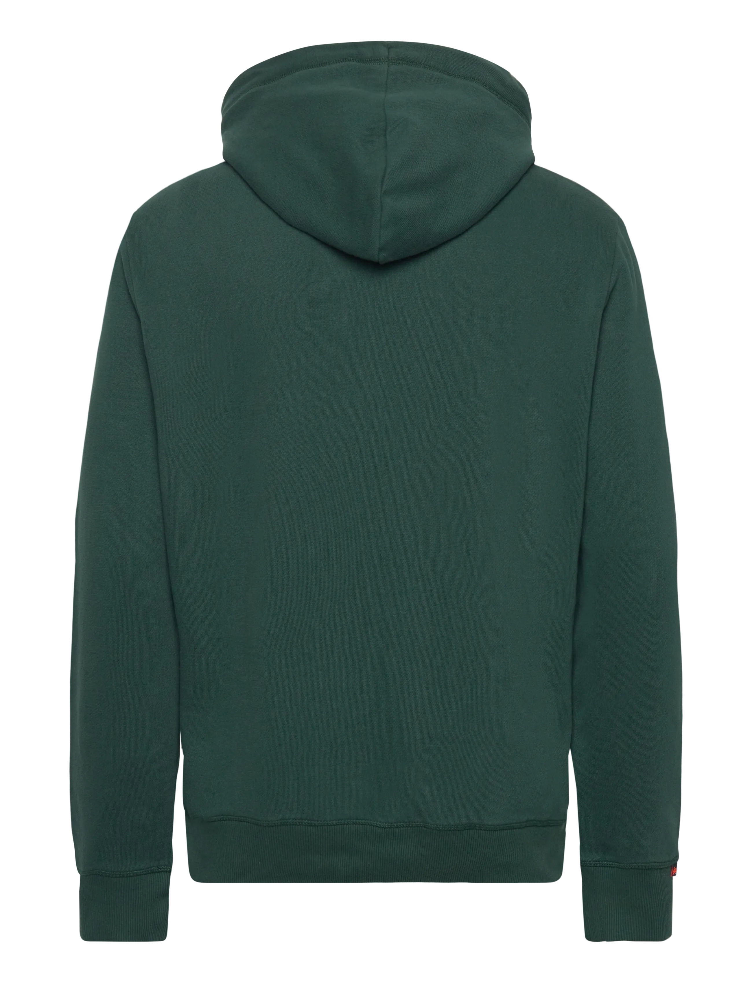 Superdry - VL DUO CLASSIC HOOD - enamel green - 2