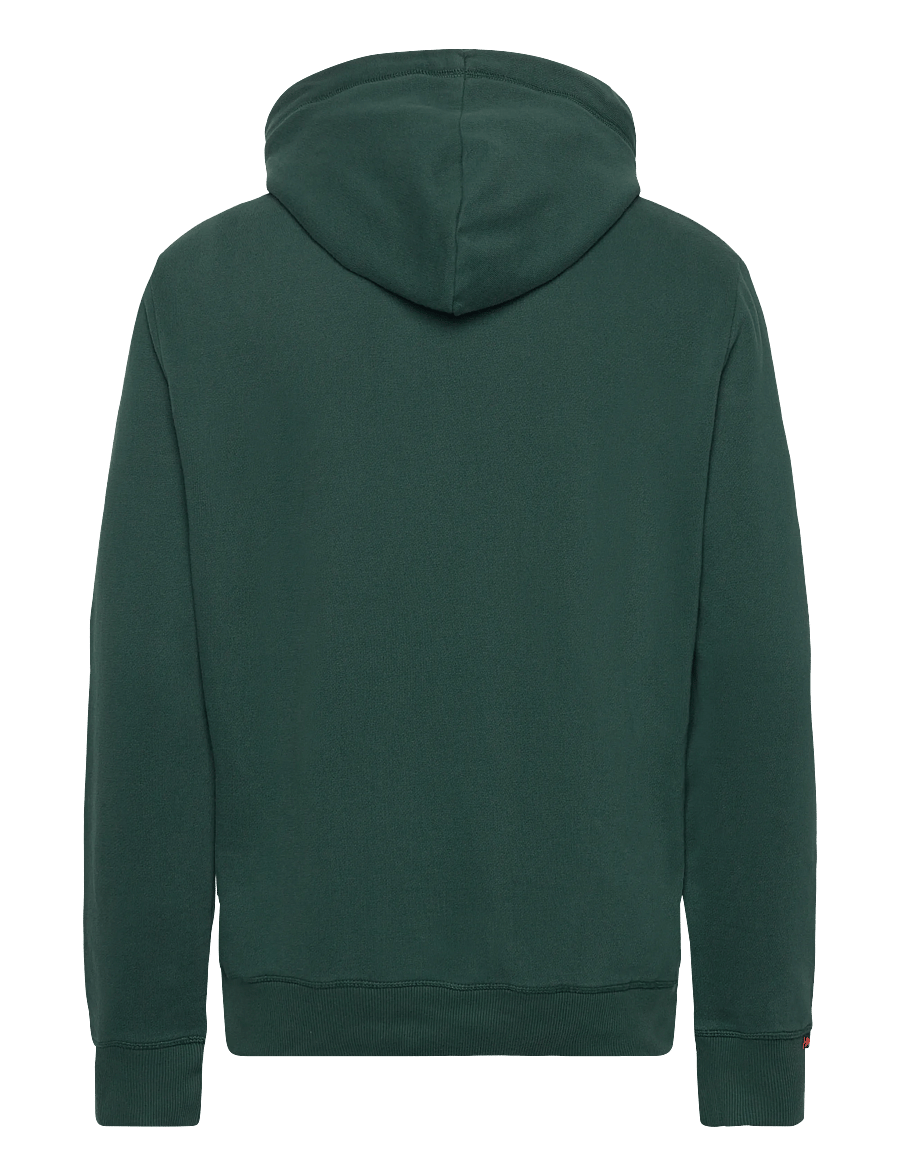 Superdry - VL DUO CLASSIC HOOD - enamel green - 2
