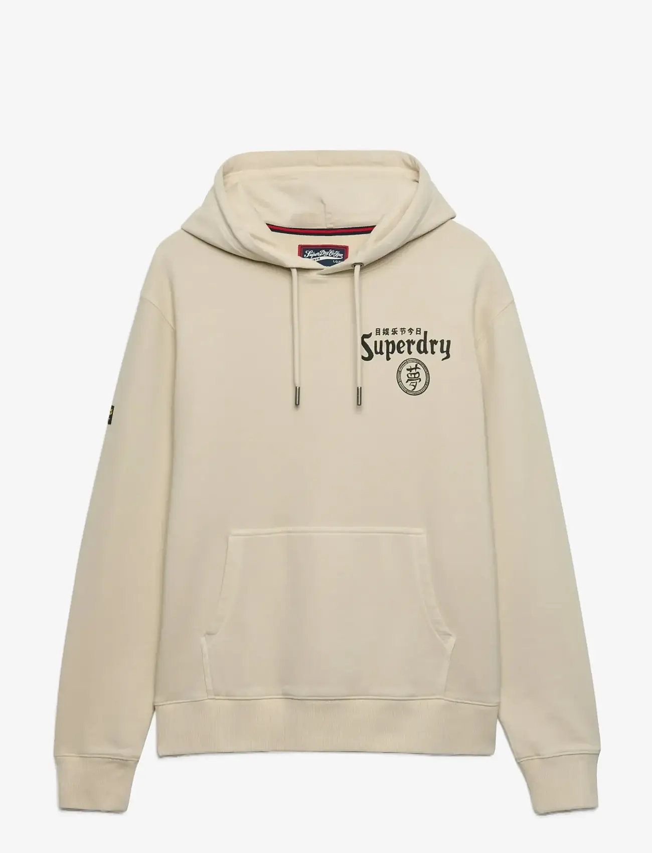Superdry - TOKYO NARRATIVE LOOSE HOOD - hættetrøjer - rainy day grey - 1