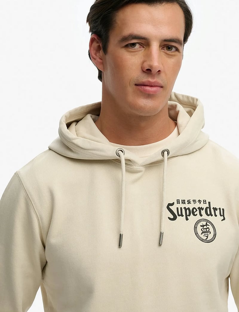 Superdry - TOKYO NARRATIVE LOOSE HOOD - hættetrøjer - rainy day grey - 3