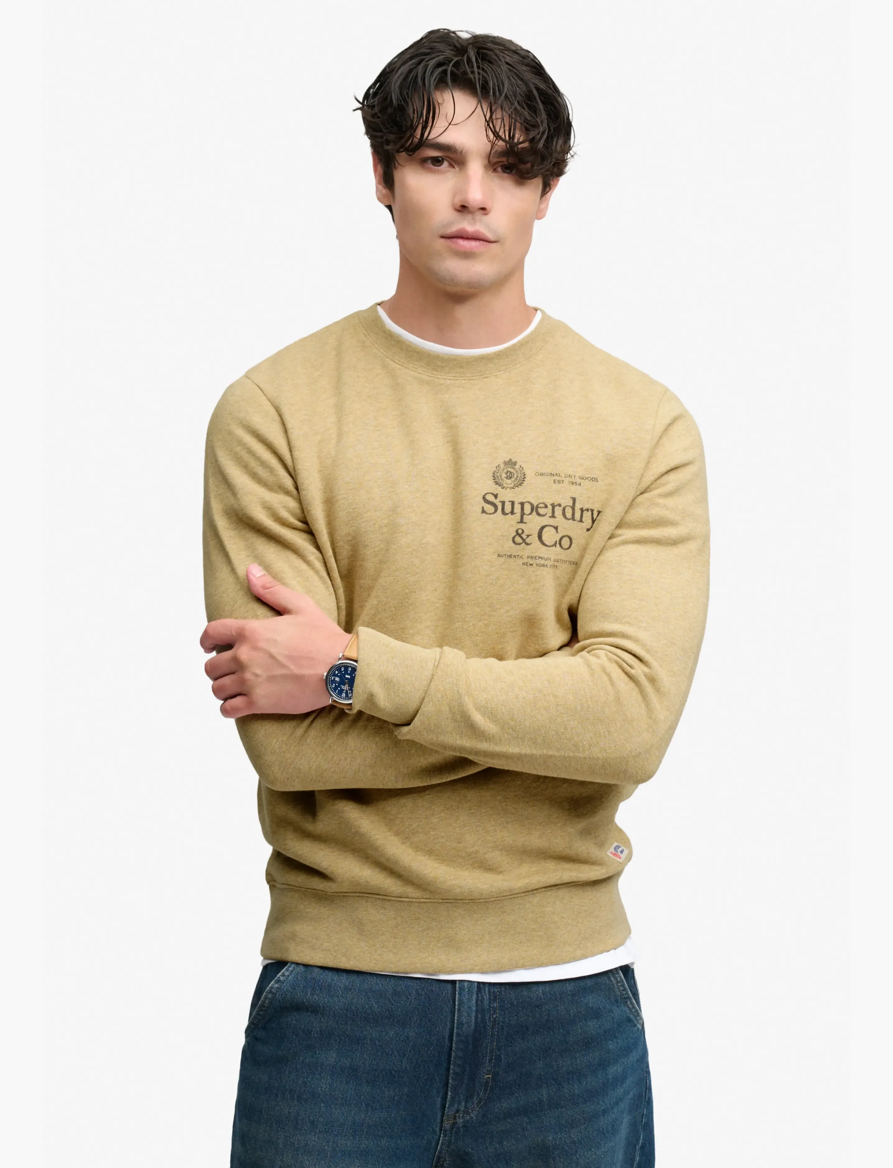 Superdry 1954 COMPANY RELAXED SWEAT - Sweatshirts - PUMICE STONE BEIGE MARL / beige