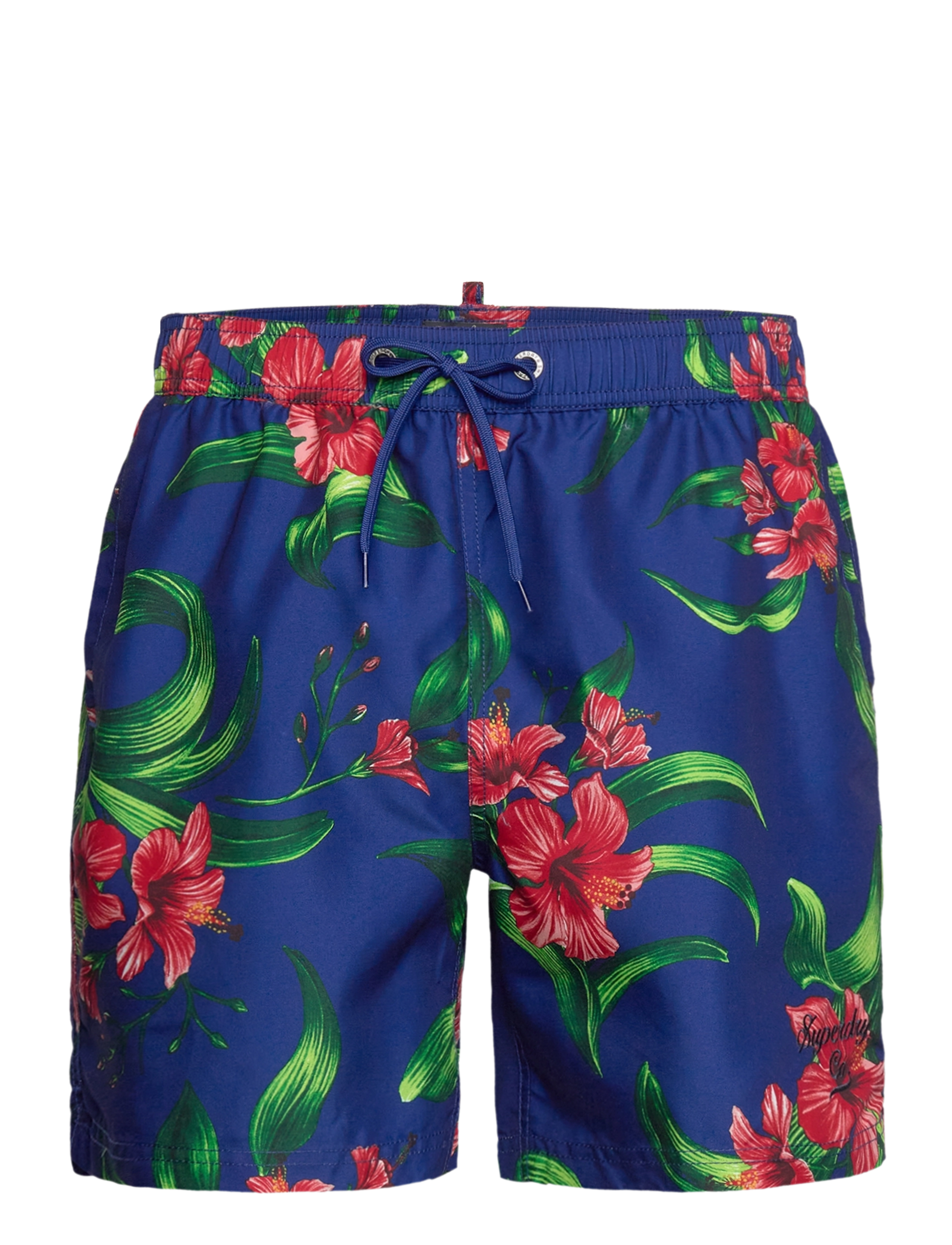 HIBISCUS ROYAL BLUE