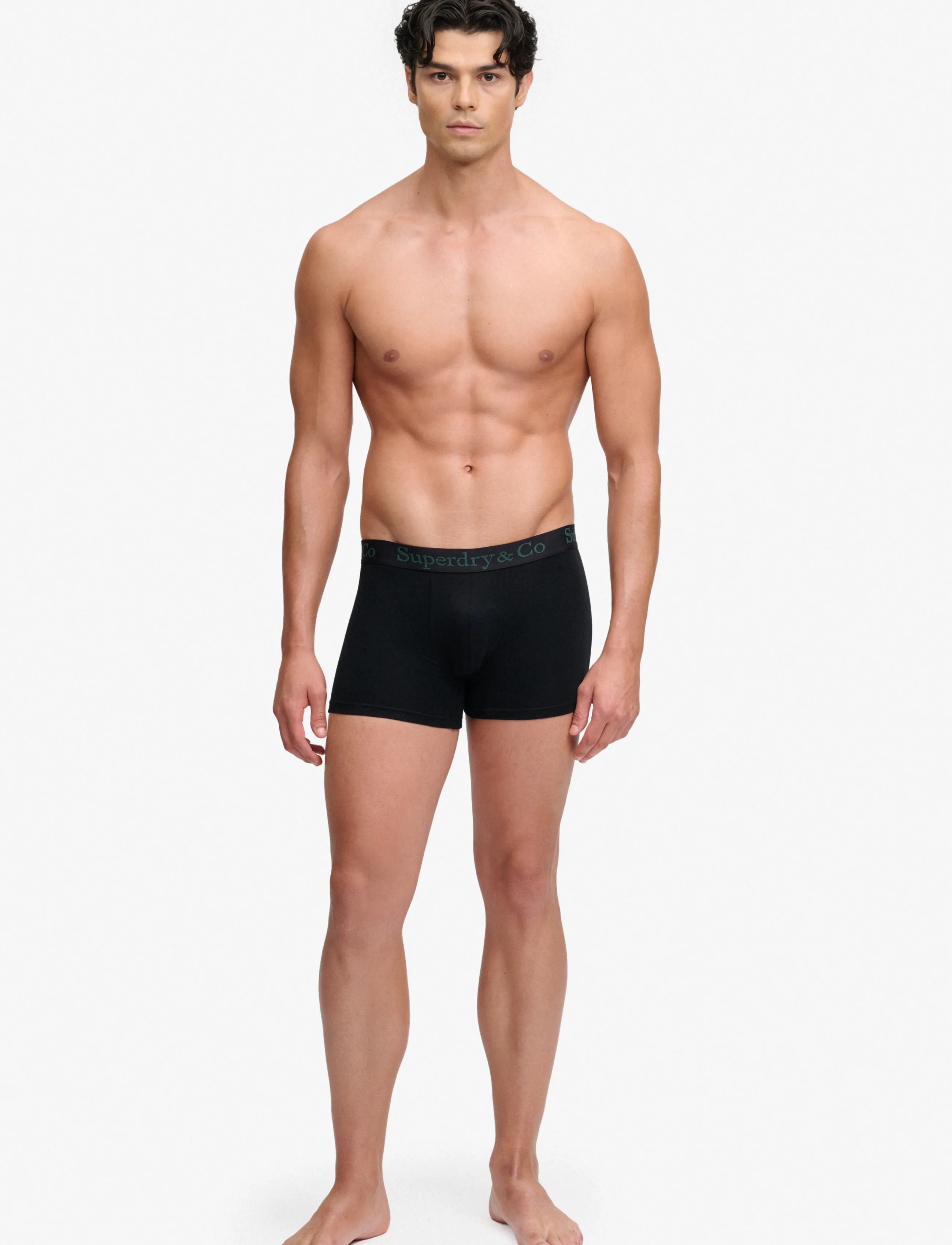 Superdry - SDRY & CO TRUNK TRIPLE PACK - bokserid - black/enamel green/navy - 5