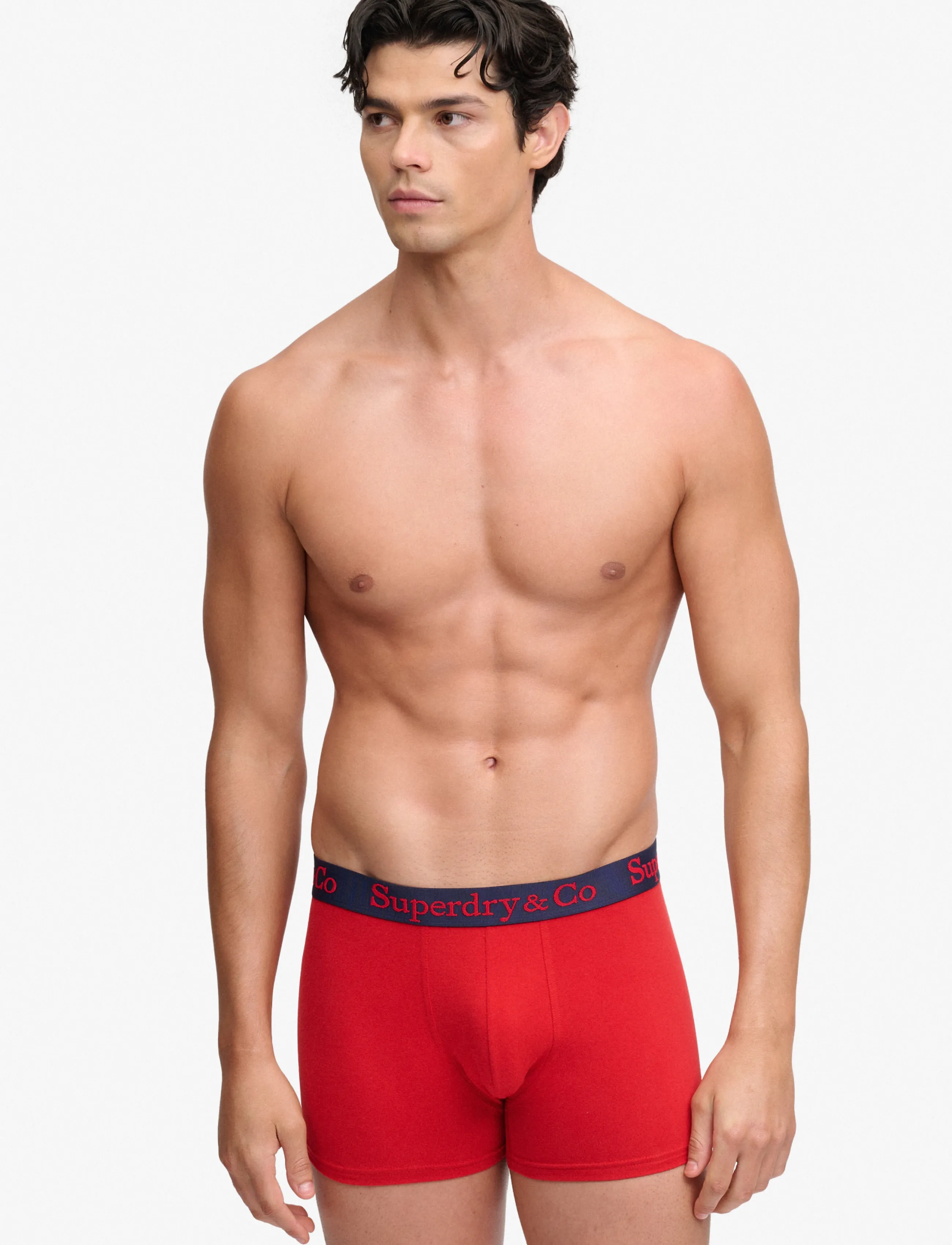 Superdry - SDRY & CO TRUNK TRIPLE PACK - bokserid - navy/blue/red - 0