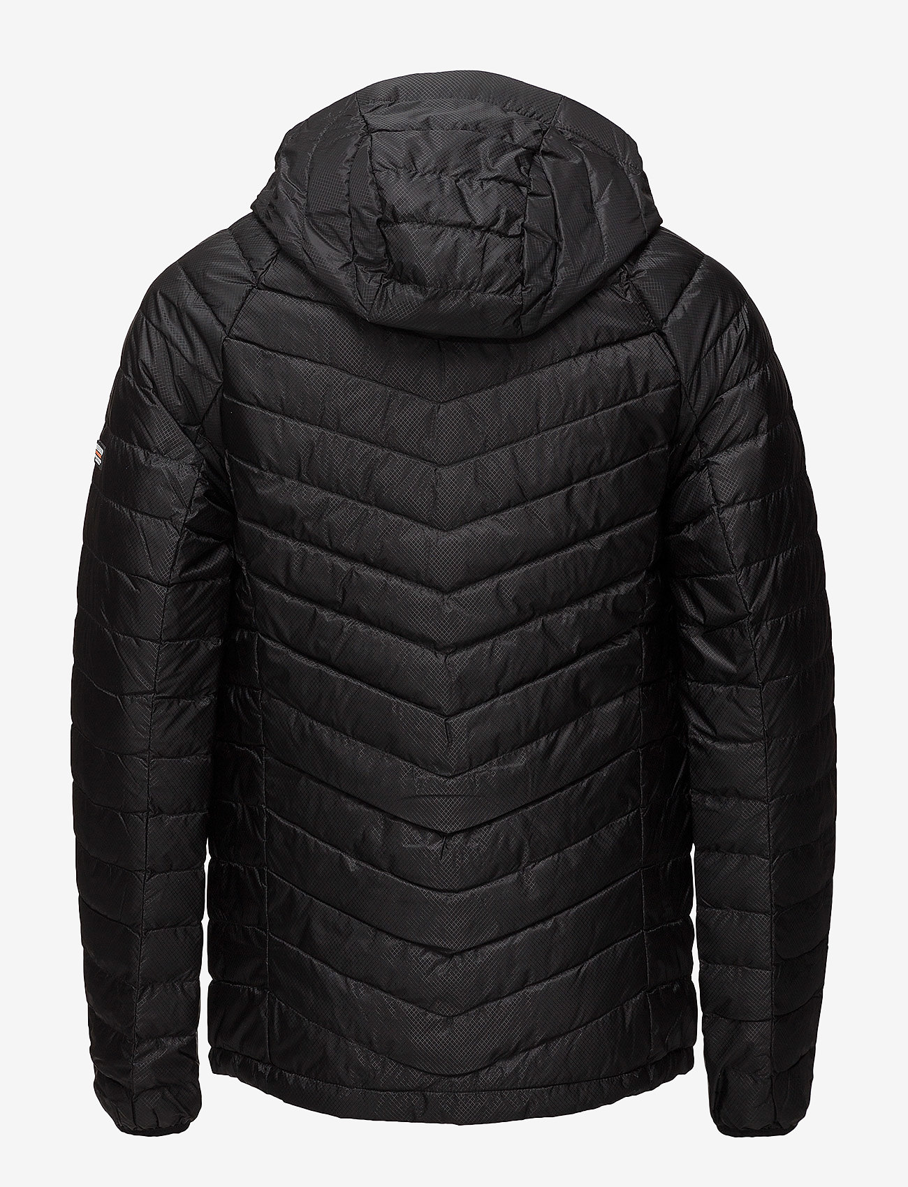 Superdry - MICRO QUILT DOWN HOODED JACKET - black - 2