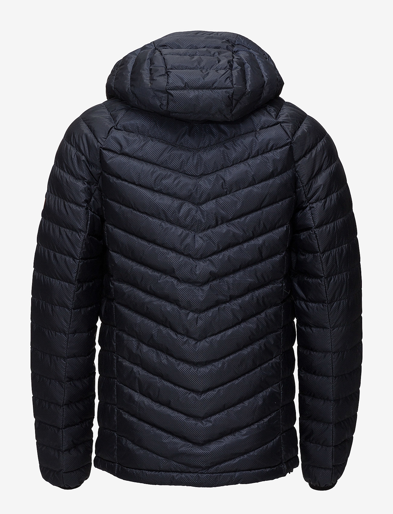 Superdry - MICRO QUILT DOWN HOODED JACKET - dark navy - 2