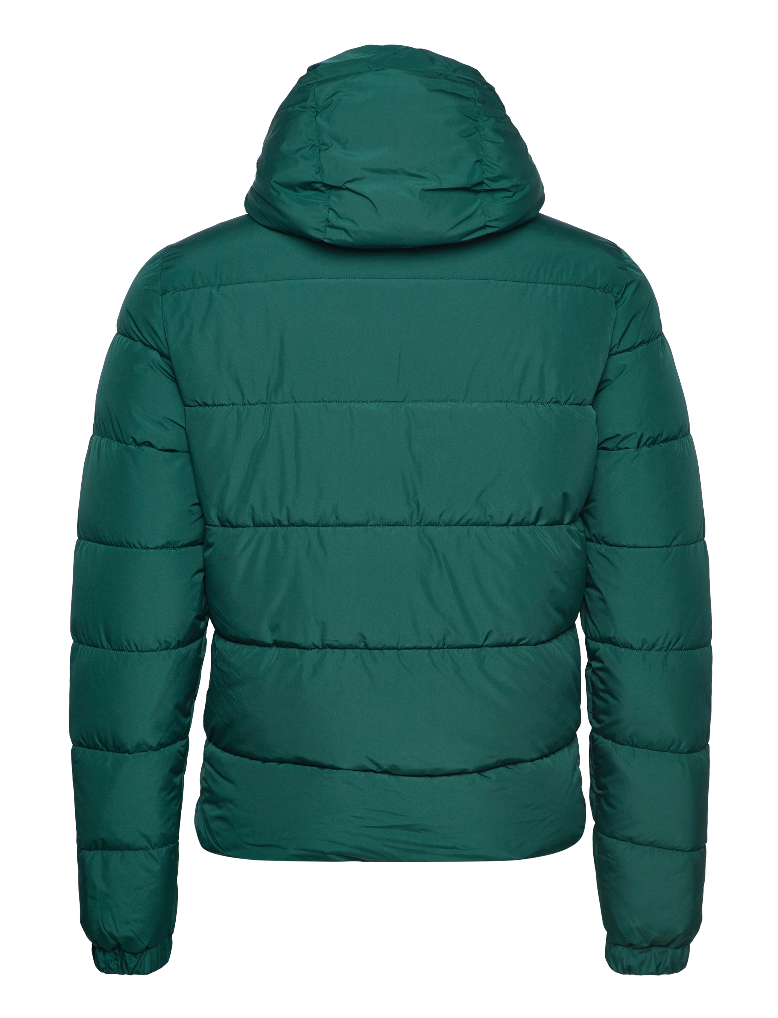 Superdry - HOODED SPORTS PUFFER - mid pine - 1