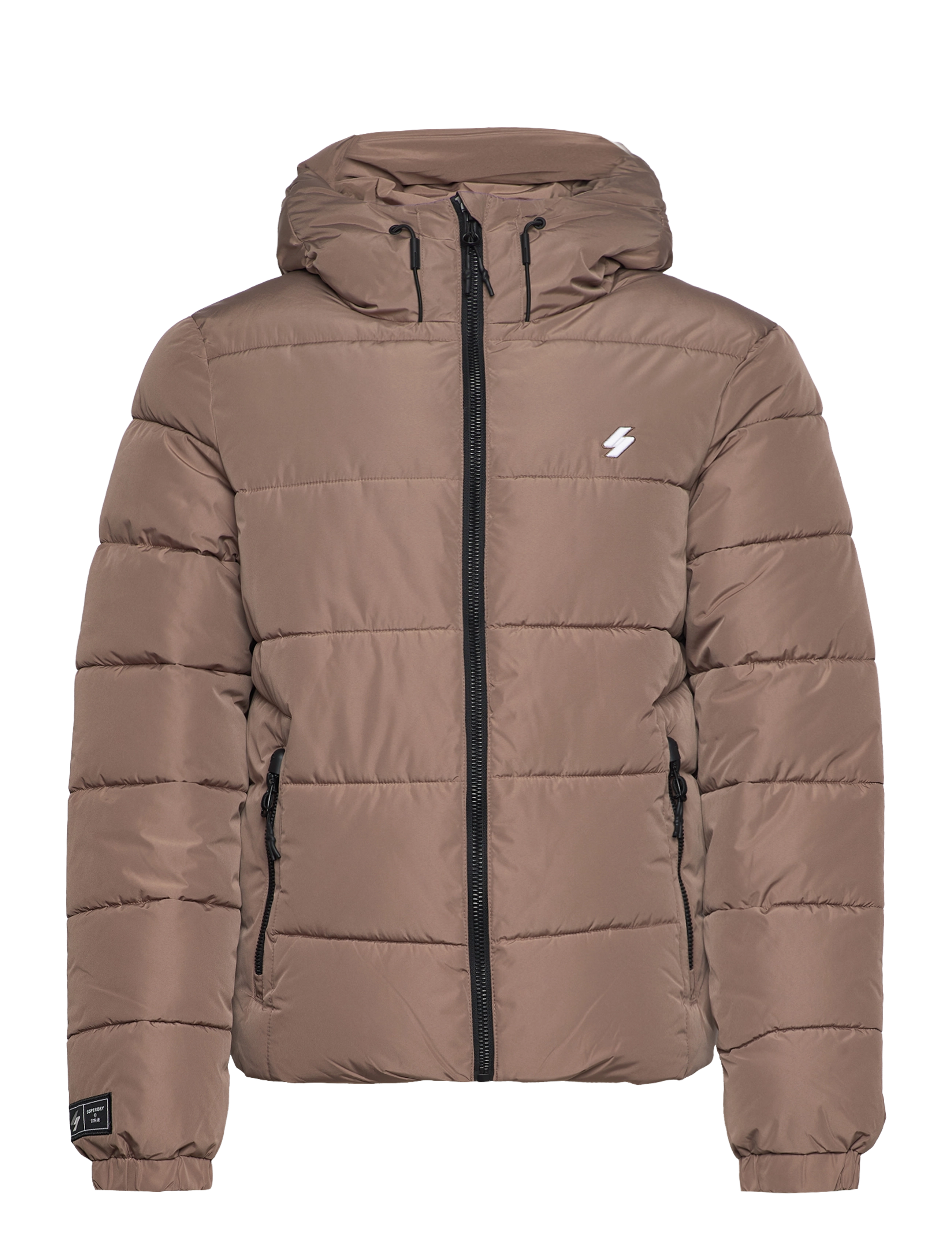 FOSSIL BROWN