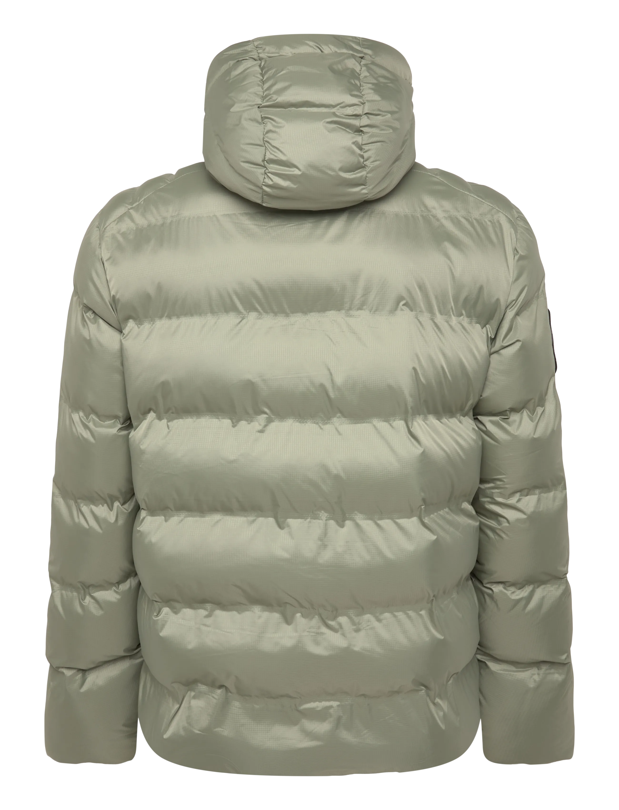 Superdry - HOODED CITY GRAPHIC PUFFER JKT - herbstjacken - seagrass green - 2