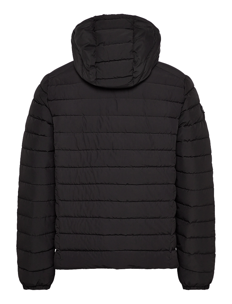 Superdry - HOODED FUJI PADDED JACKET - vinterjackor - black - 2