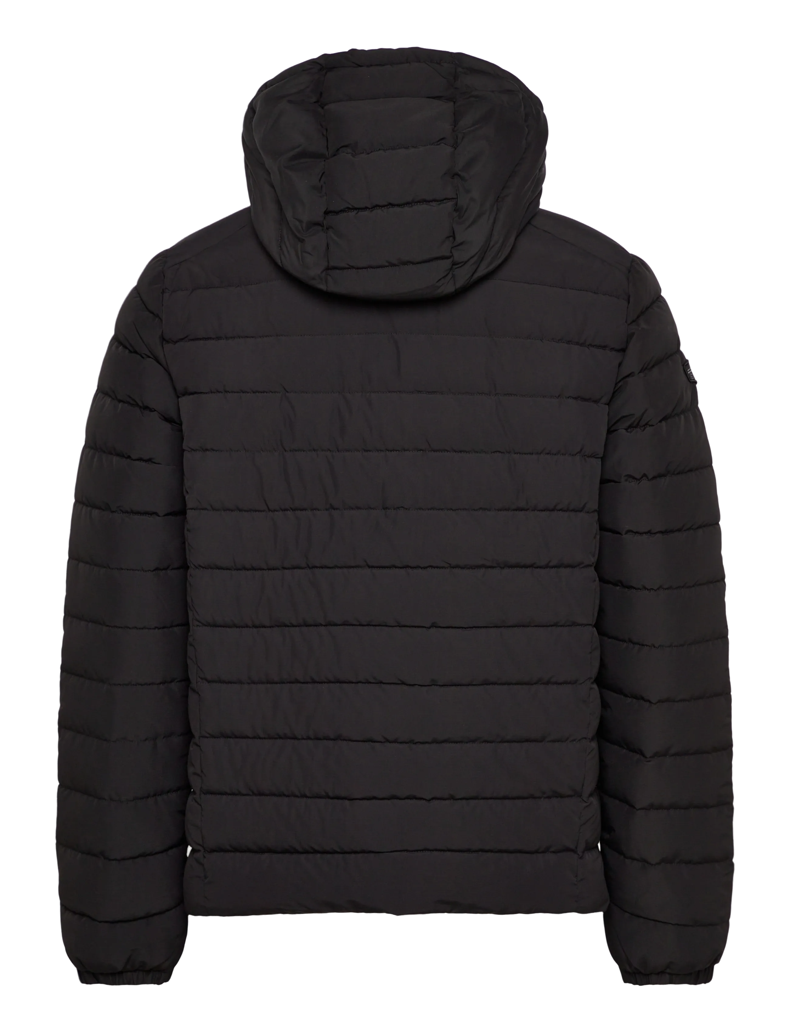 Superdry - HOODED FUJI PADDED JACKET - down jackets - black - 2