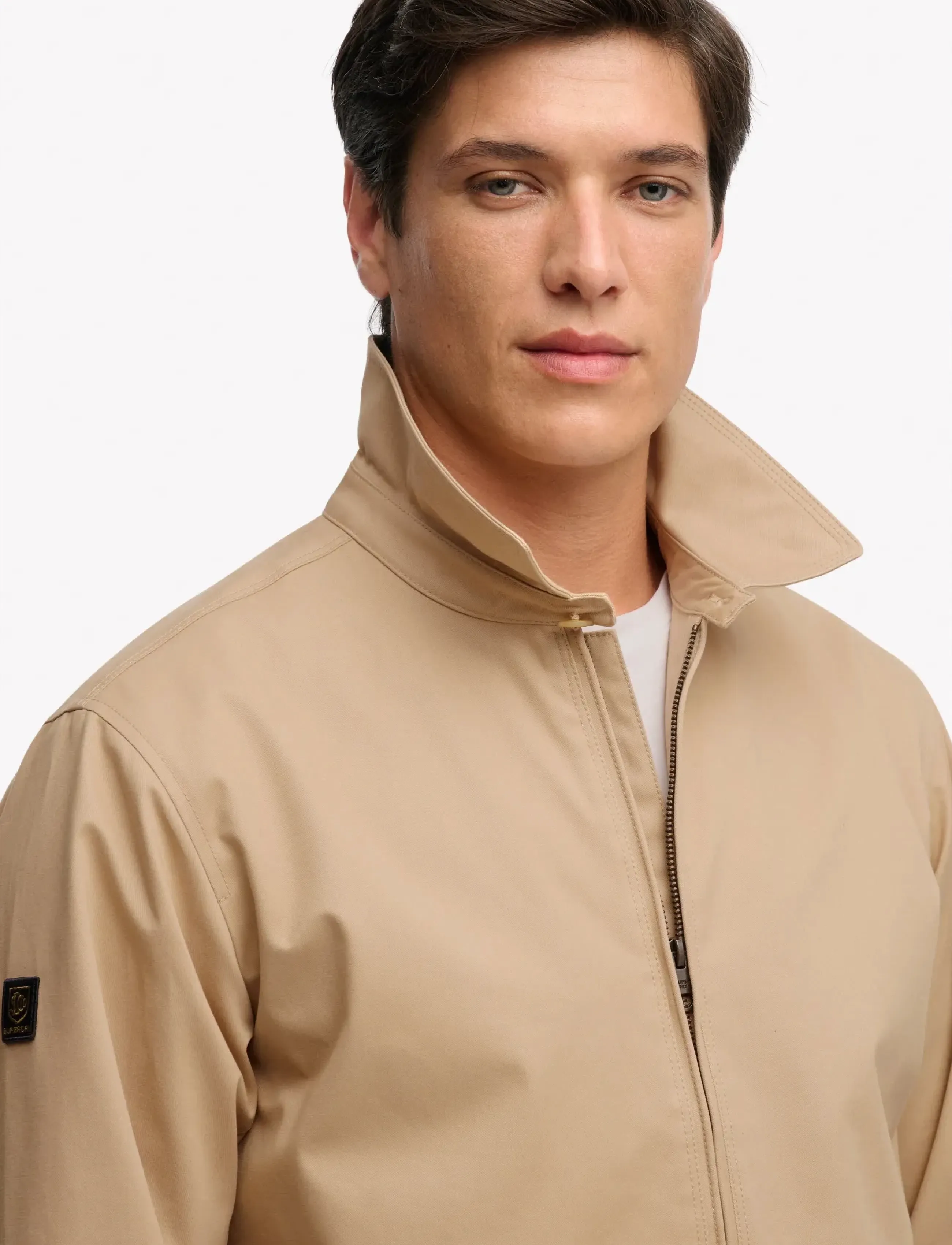 Collared Harrington 4