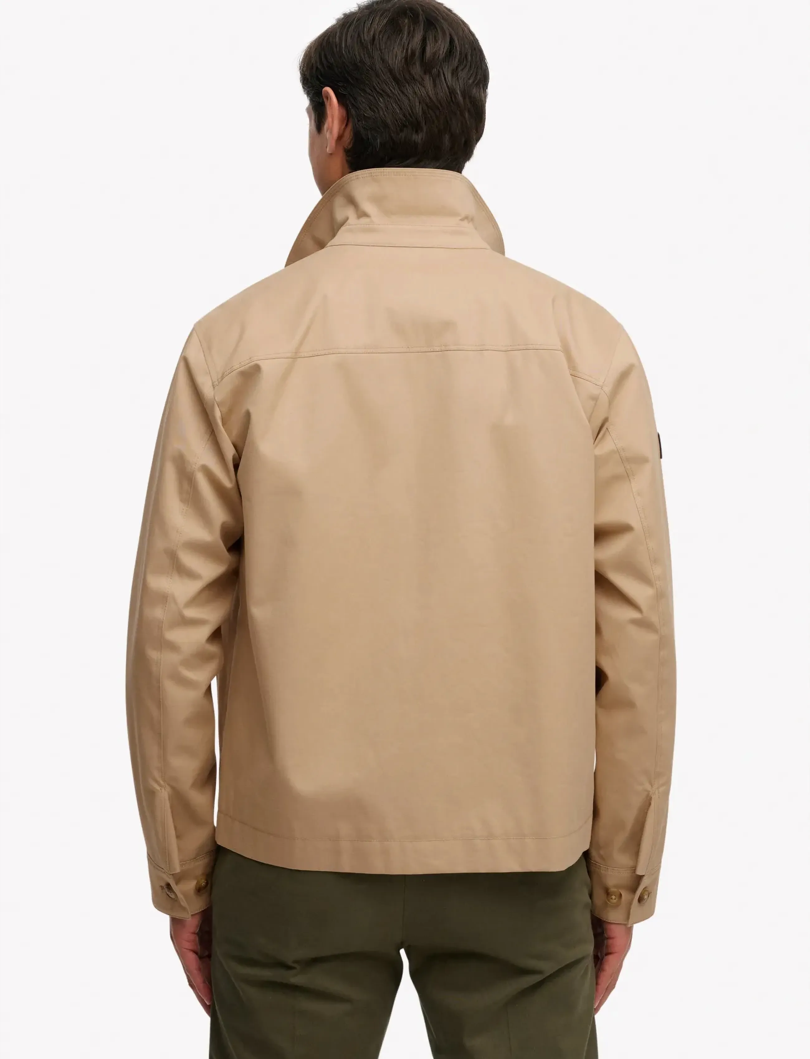 Collared Harrington 8