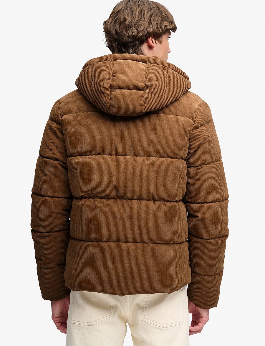 Superdry - PREMIUM HOOD CORD PUFFER JKT - dark tobacco brown - 3