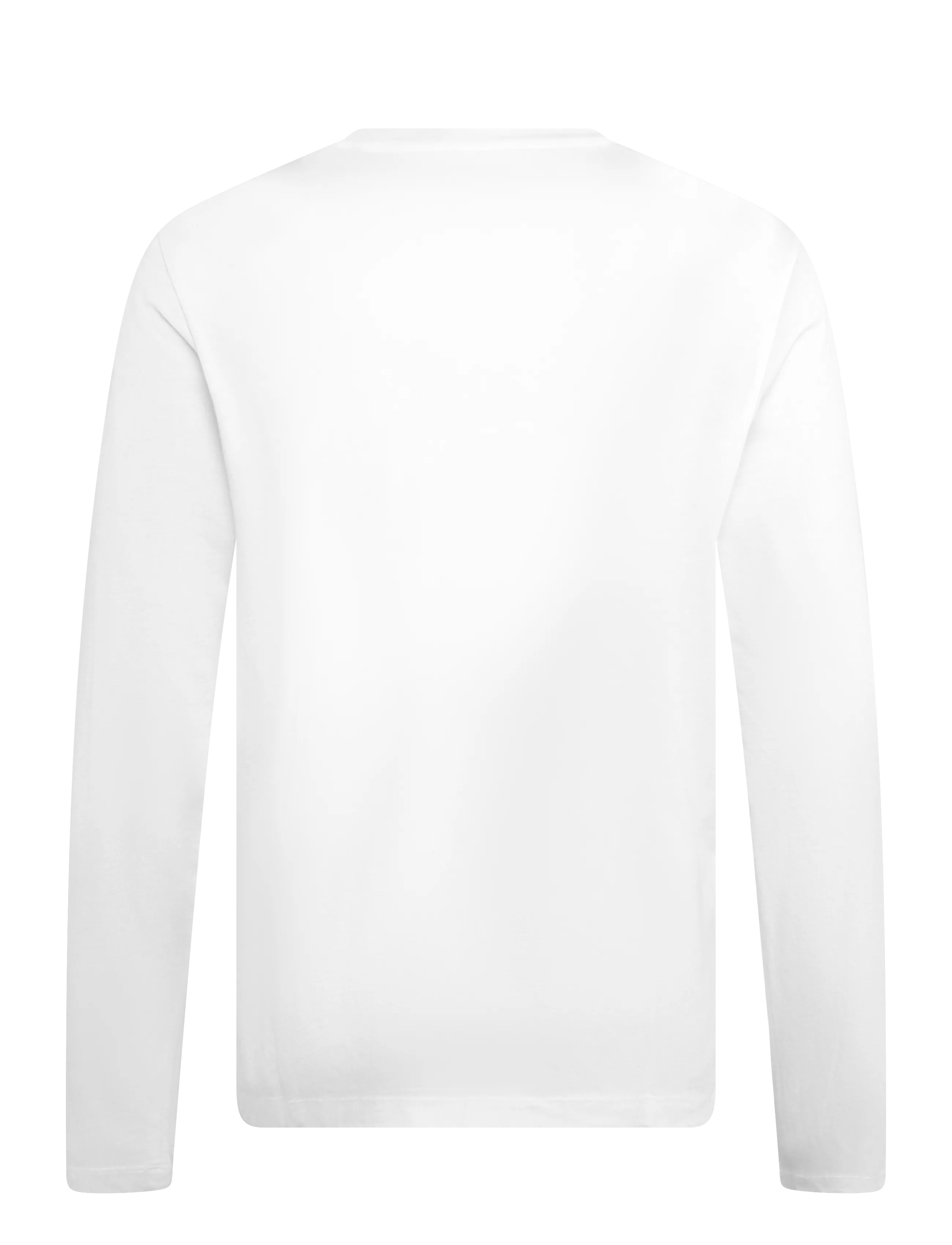 Superdry - CLASSIC ESSENTIAL SDCO TOP - langærmede t-shirts - optic - 2
