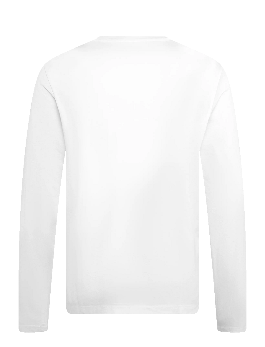 Superdry - CLASSIC ESSENTIAL SDCO TOP - langærmede t-shirts - optic - 2