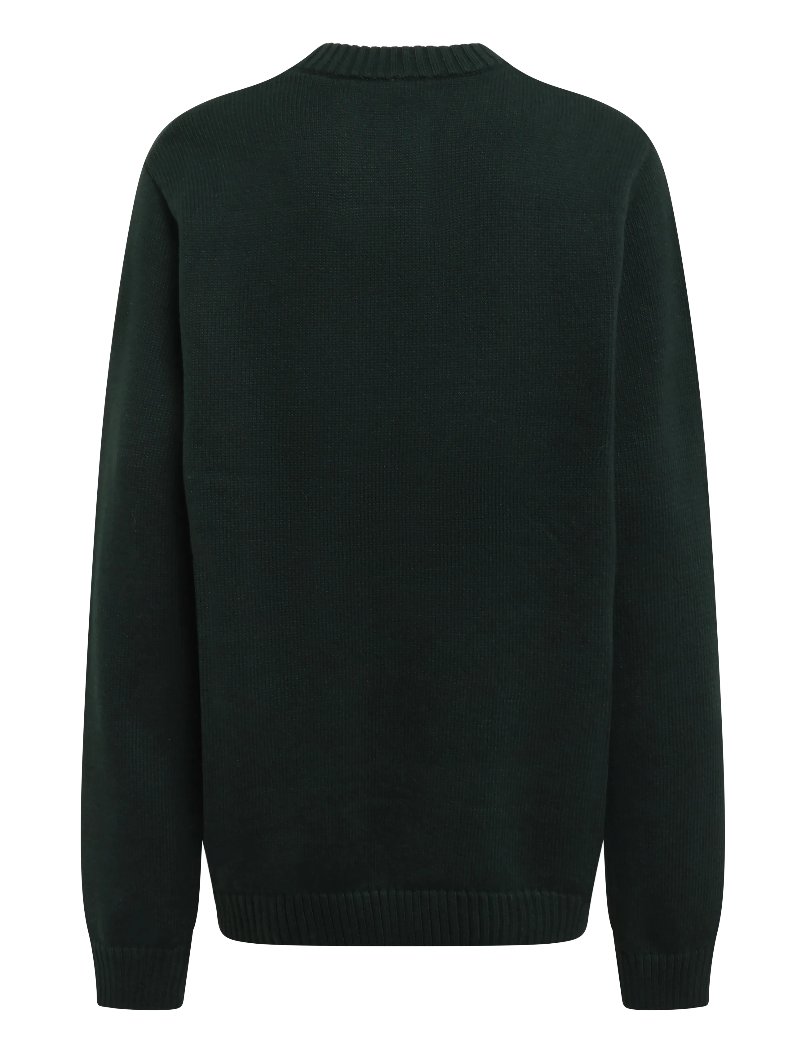 Superdry - APPLIQUE GRAPHIC JUMPER - rundhalsad - forest green - 2