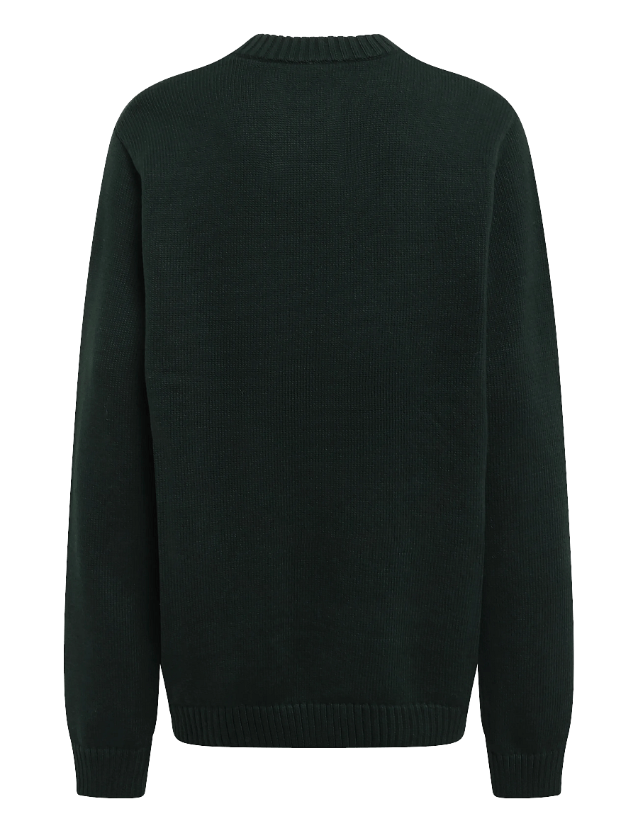 Superdry - APPLIQUE GRAPHIC JUMPER - rundhalsad - forest green - 2