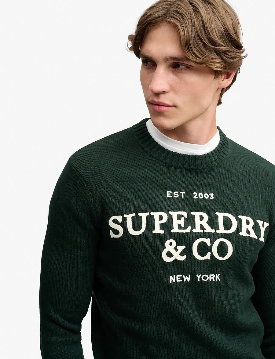 Superdry - APPLIQUE GRAPHIC JUMPER - round necks - forest green - 3