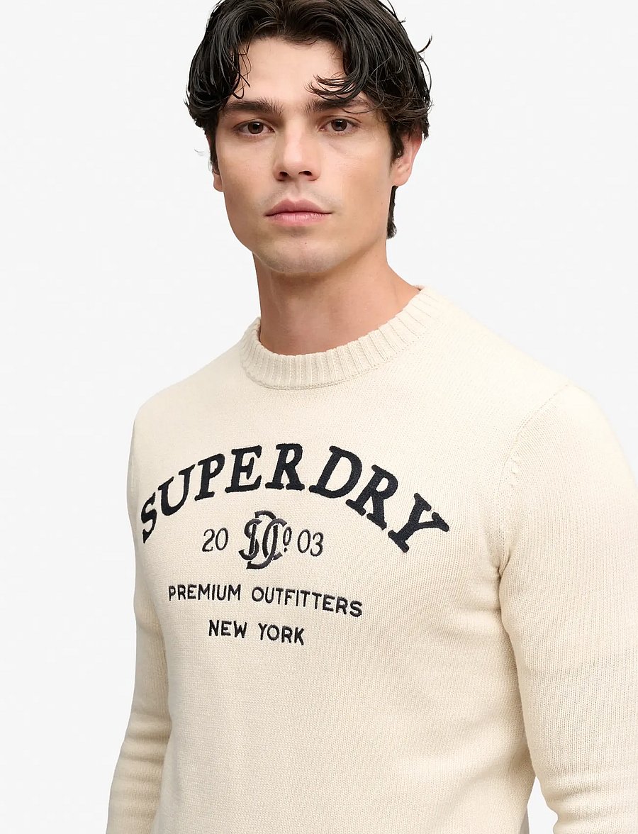 Superdry - APPLIQUE GRAPHIC JUMPER - rundhalsad - rainy day grey - 3