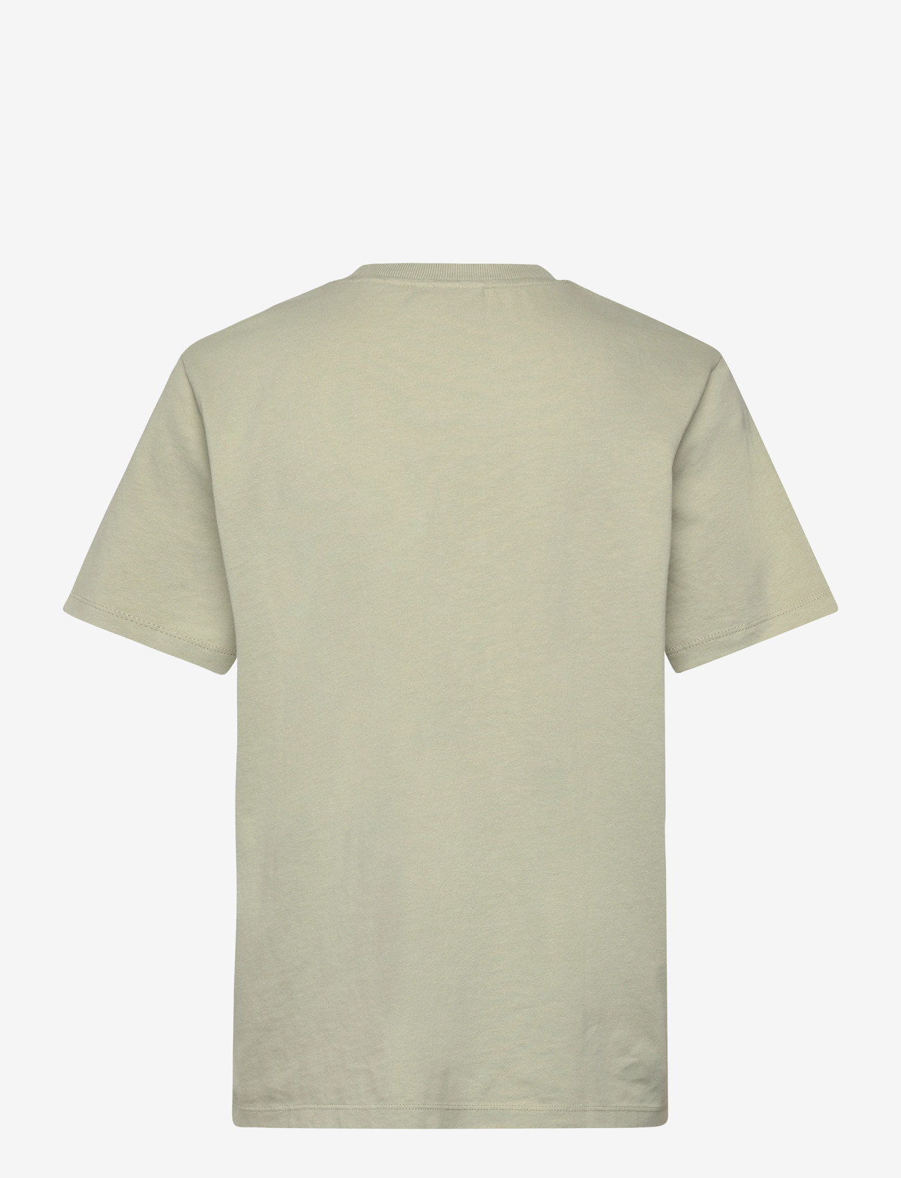 Superdry - ESSENTIAL LOGO EMB TEE - t-shirts - dusty sage - 2