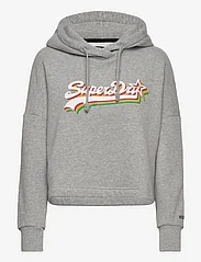 Superdry - VINTAGE LOGO RAINBOW HOOD - džemperi ar kapuci - grey marl - 0
