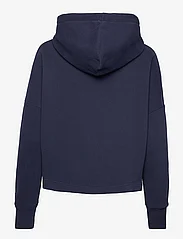 Superdry - VINTAGE LOGO RAINBOW HOOD - hoodies - nautical navy - 1