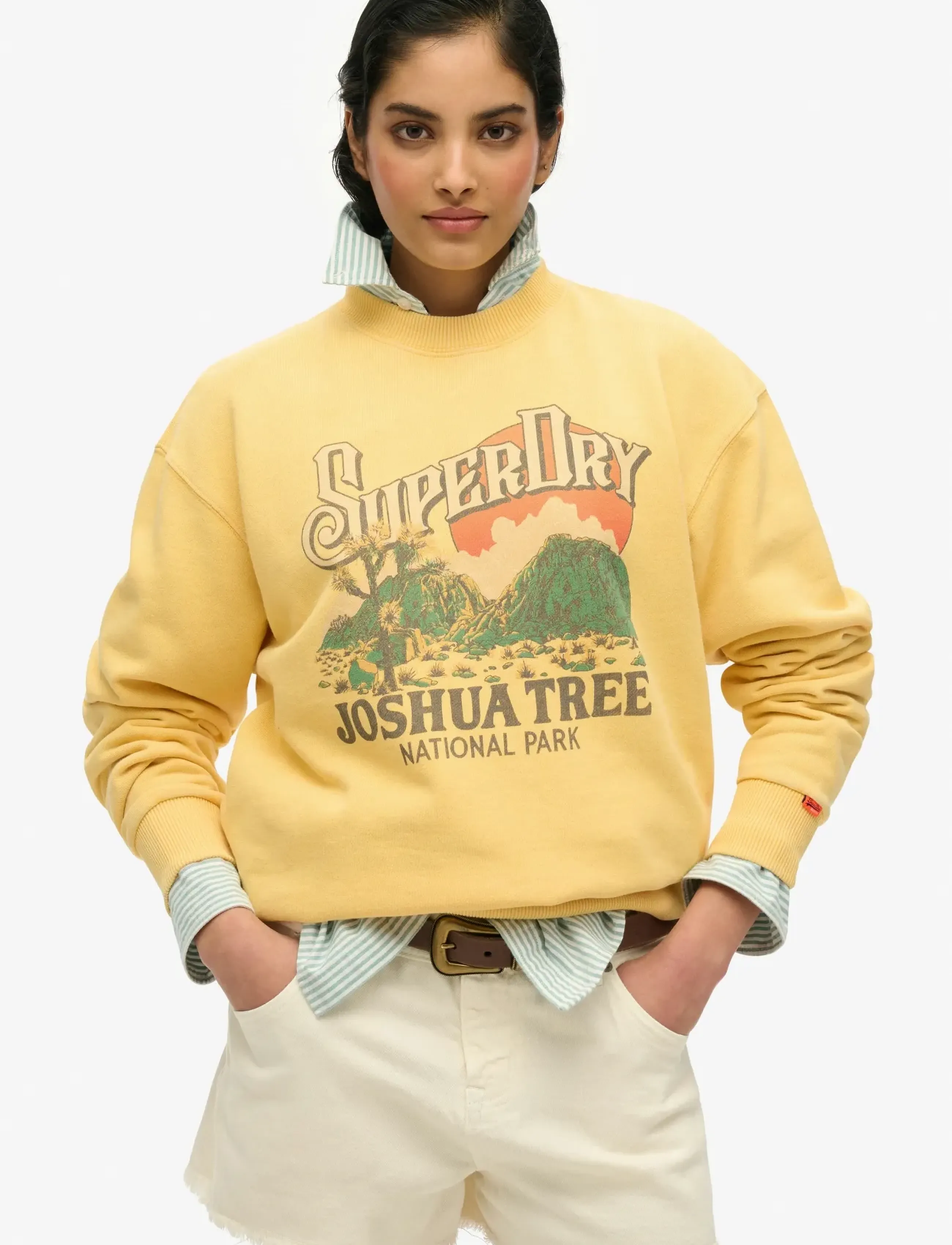 Superdry - SOUVENIR GRAPHIC LOOSE CREW - sweatshirts - flax yellow - 0