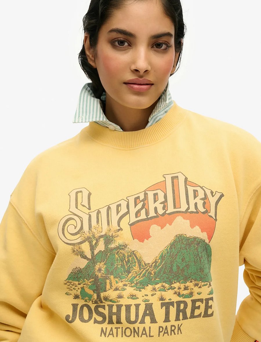 Superdry - SOUVENIR GRAPHIC LOOSE CREW - sweatshirts - flax yellow - 4