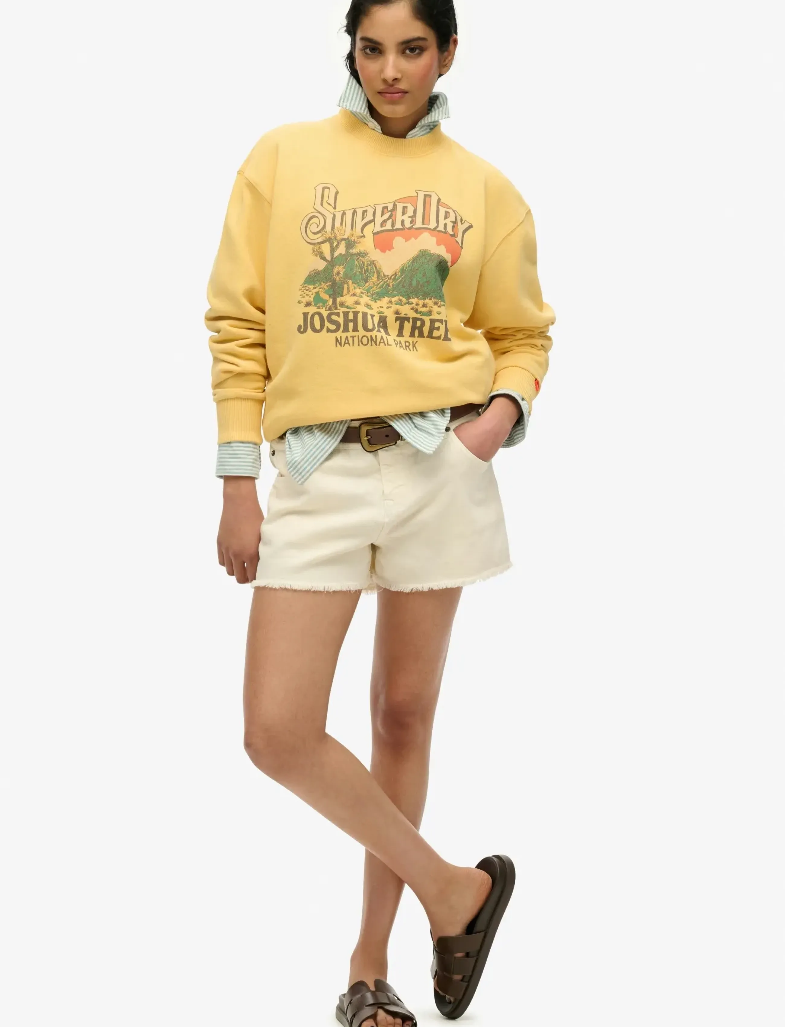 Superdry - SOUVENIR GRAPHIC LOOSE CREW - sweatshirts - flax yellow - 5