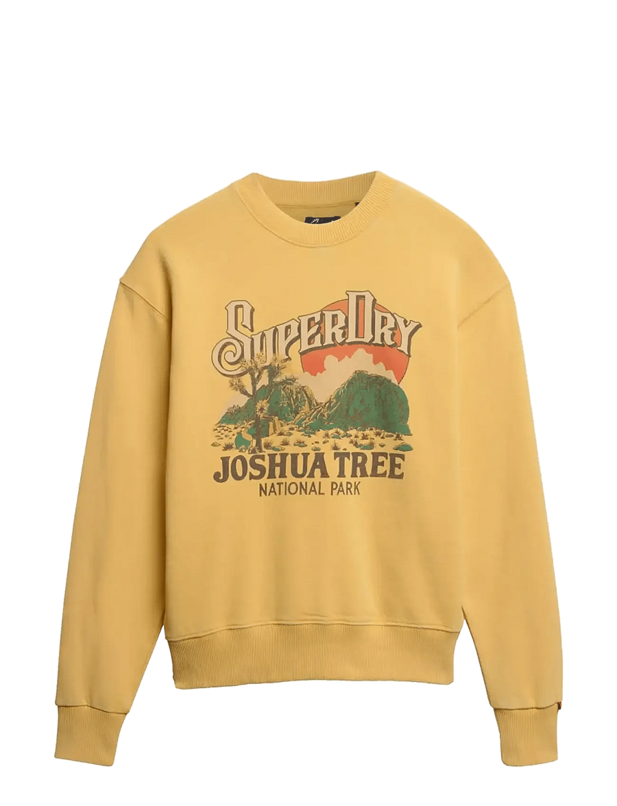 Superdry - SOUVENIR GRAPHIC LOOSE CREW - sweatshirts - flax yellow - 2