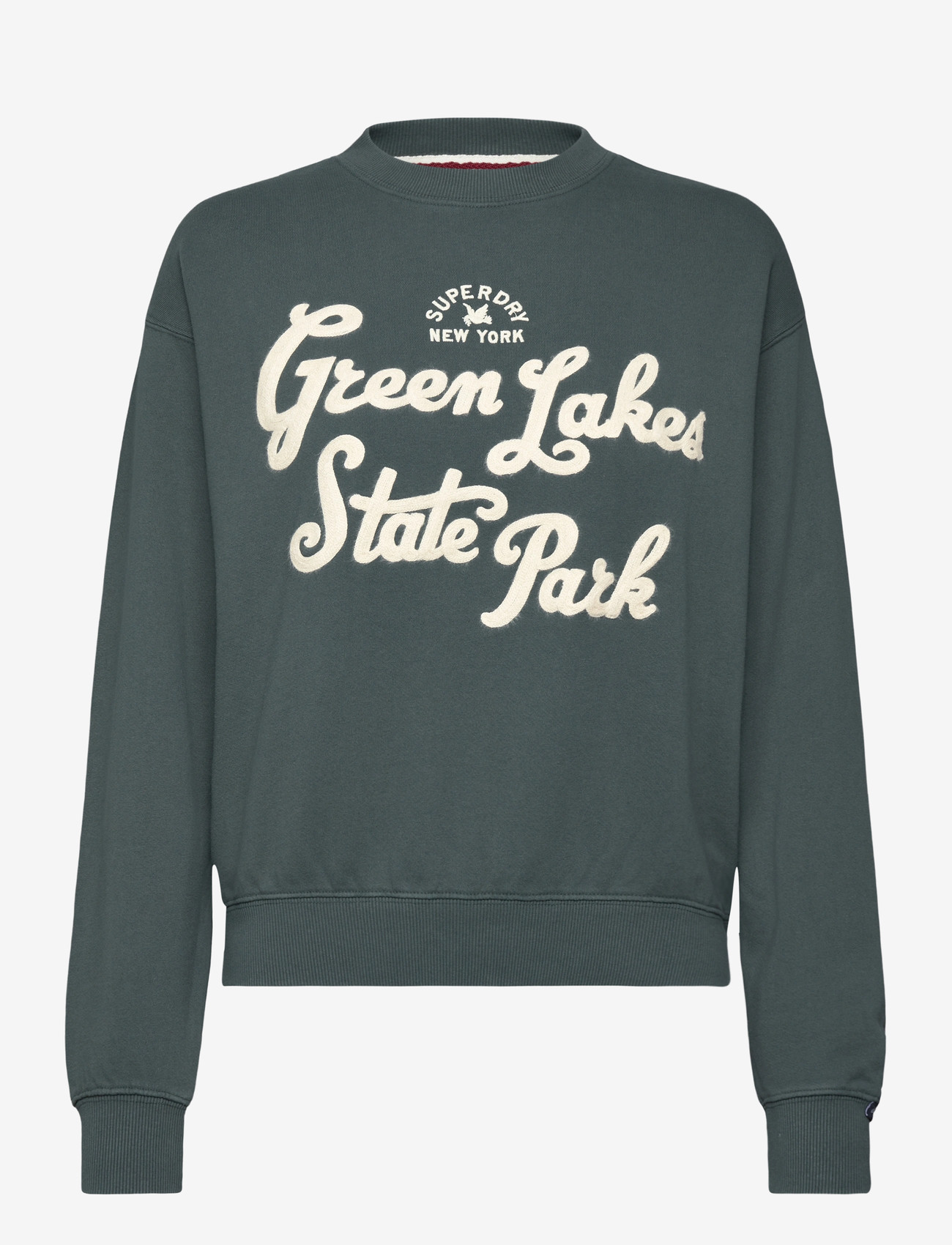 Superdry - LO-FI OUTDOOR LOOSE CREW - vardagsstil - dark forest - 1